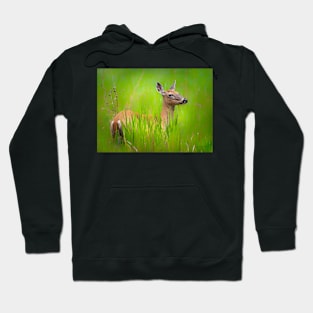 Doe in grass Hoodie